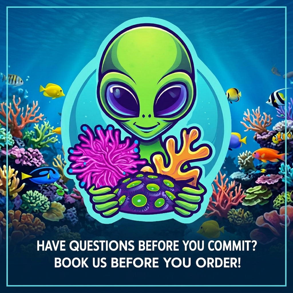 Reef aquarium