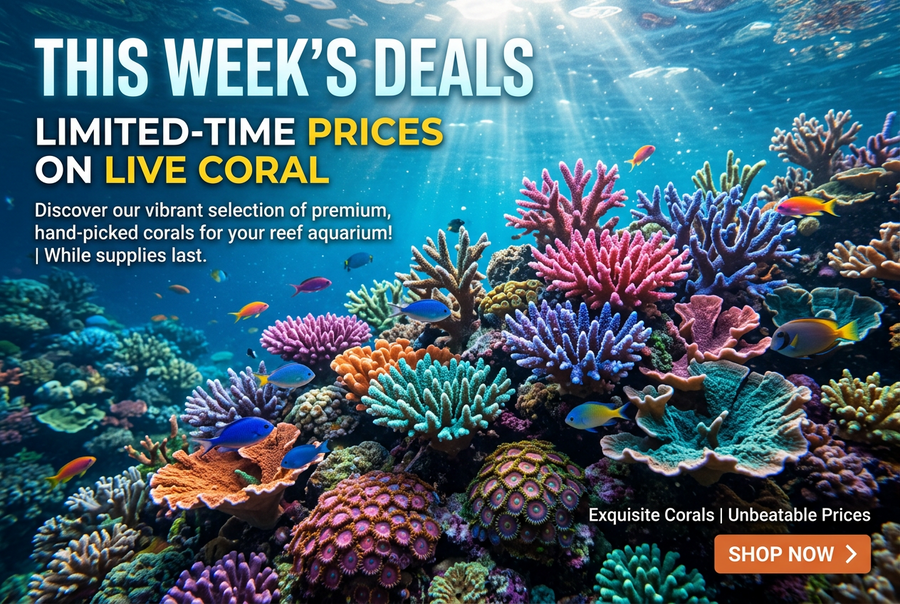 This week's deals